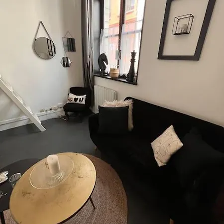 Apartamento Au Coeur Du Vieux-lille : *